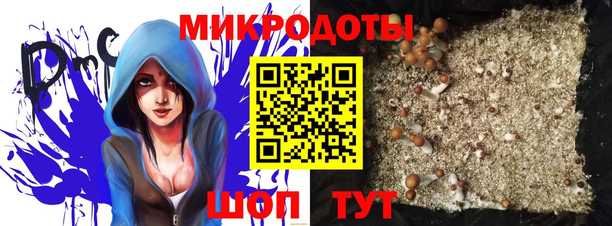 Псилоцибиновые грибы Psilocybe Учалы